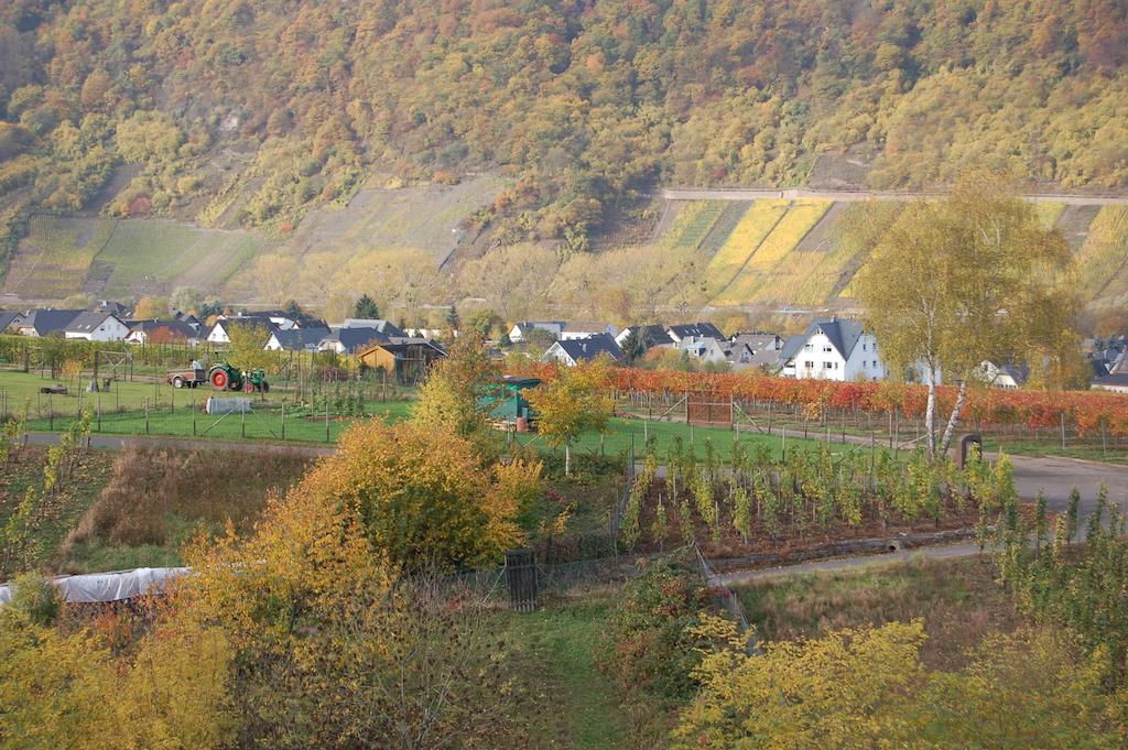 Ferienhaus Mosel Bub Bruttig-Fankel Zimmer foto